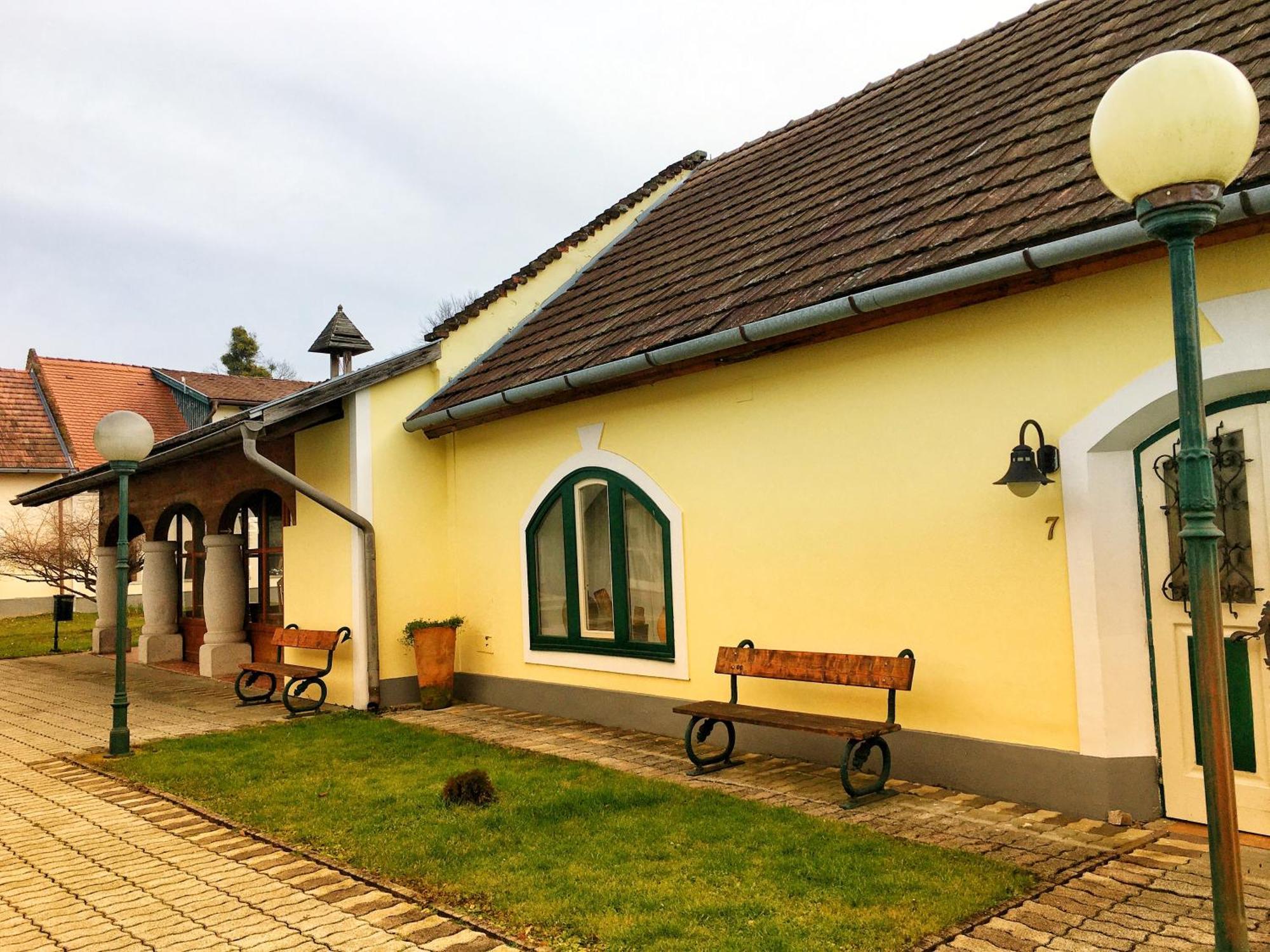 Ginti Panzio, Orseg